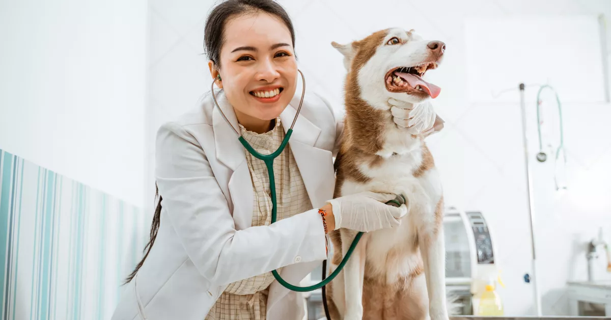 Cornell Animal Hospital Costs