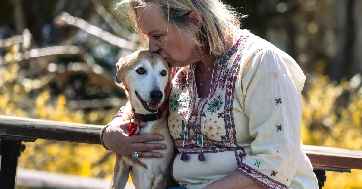 Humane Society Vet Prices List