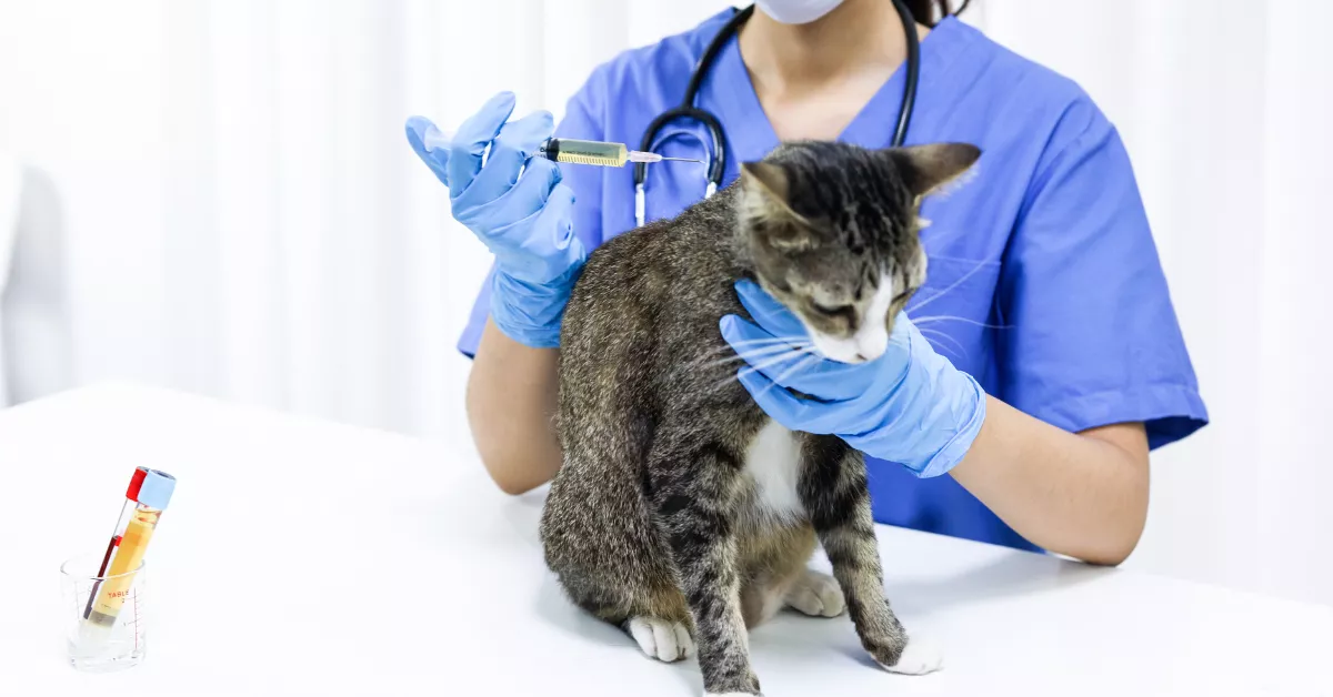 PAWS Clinic Prices List