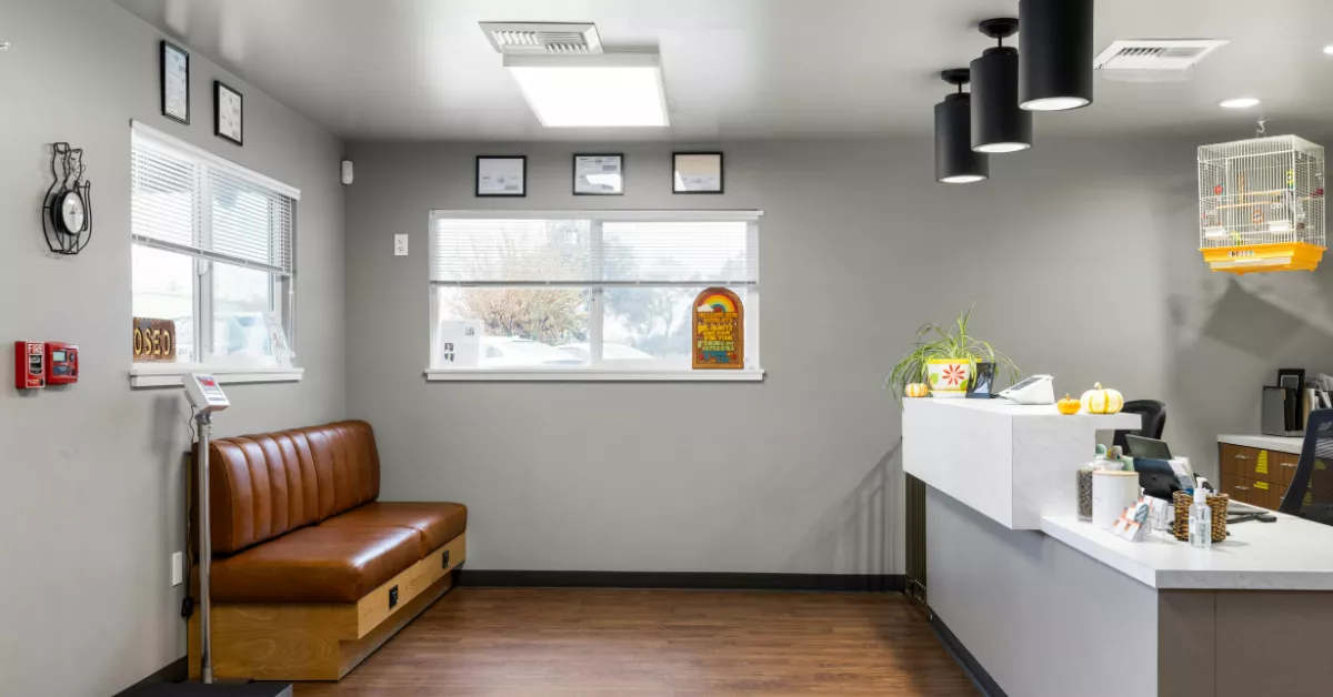 UF Small Animal Hospital Cost
